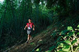 BIB: 
                            <button type="button" onclick="openModal(28123166)" class="btn btn-primary btn-sm float-right btn-popup" data-toggle="modal" data-target=".modal-high-quality">
                        <i class="fas fa-shopping-cart"></i> Add to Cart
                    </button>
                                            <button type="button" onclick="isThisMe(28123166, true)" class="btn btn-success btn-sm float-right btn-popup btn-isme hidden" data-toggle="tooltip" data-placement="bottom" title="นี่คือรูปของคุณใช่ไหม คลิกที่นี่เพื่อเอาเข้าอัลบั้ม">
                        <i class="fas fa-plus"></i> Add to album
                    </button>
                    <button type="button" onclick="isThisMe(28123166, false)" class="btn btn-warning btn-sm float-right btn-popup btn-isnotme hidden">
                        <i class="fas fa-ban"></i> Remove from album
                    </button>